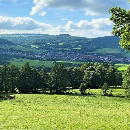 Ferienwohnung Natur-Pur Ehrenberg  Esterno foto