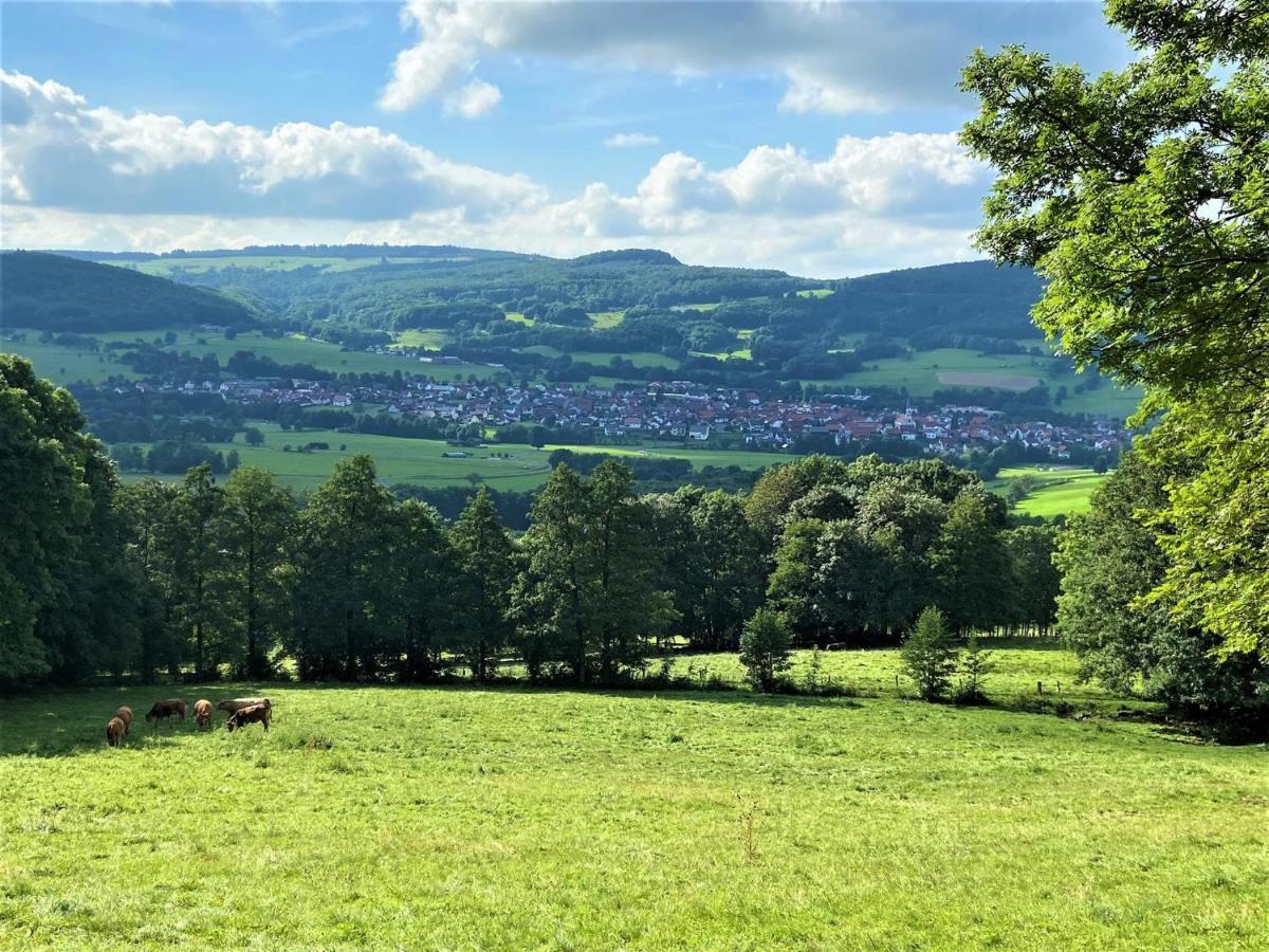 Ferienwohnung Natur-Pur Ehrenberg  Esterno foto